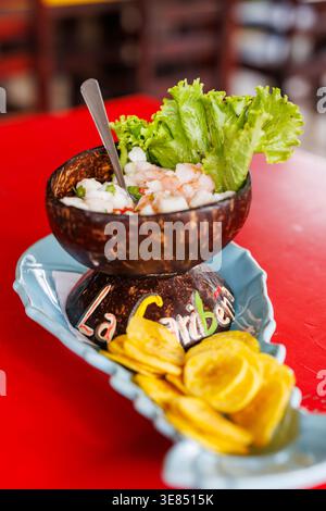 Ceviche serviert in einer Kokosnussschale mit Löffel, grünem Salat und Kochbananenchips auf blauem Teller über rotem Tisch, Restaurant-Hintergrund-Bokeh Stockfoto