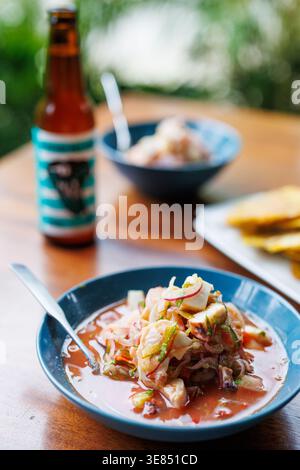 Nahaufnahme von Meeresfrüchten-Ceviche in einer blauen Schüssel auf einem Holztisch, mit Tortilla-Chips und einem Flaschengetränk im Hintergrund, Tageslicht im Freien Stockfoto