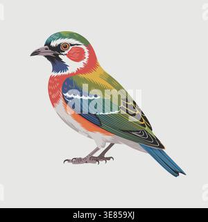 Eine isolierte Illustration eines bunten Vogels mit grünen, roten und blauen Federn auf einem hellgrauen Hintergrund. Stock Vektor