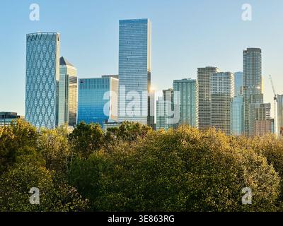 Canary Wharf London Skyline Mit Modernen Glashochhäusern Über Green Park Bäumen Im Morgenlicht Stockfoto