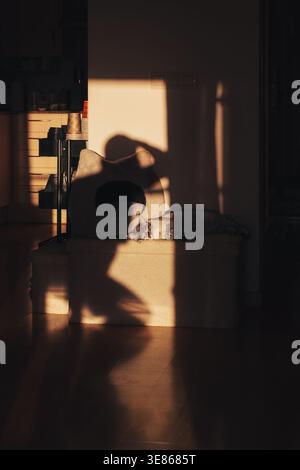 Warme Nachmittagssonne strömt durch ein Fenster und wirft dramatische Schatten über ein minimalistisches Schlafzimmer mit niedrigem Bett, weichen Kissen und ruhiger, stimmungsvoller Atmosphäre Stockfoto