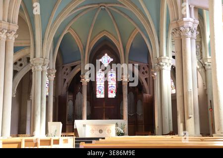 Kirche Notre-Dame des Anges, eine Kirche im neogotischen Stil, Bezirk Gerland, Stadt Lyon, Département Rhône, Frankreich Stockfoto
