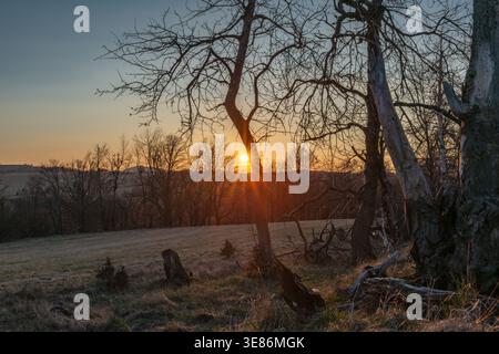 Sonnenuntergang in der Nähe des kleinen Dorfes Antoninov im Frühling frisch trocken windiger Abend Stockfoto