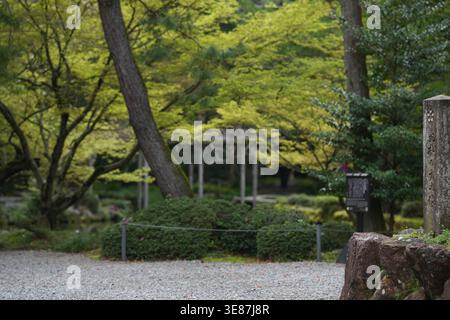 Schotterweg schlängelt sich durch ruhigen Garten. Bäume mit frischen grünen Blättern umrahmen die Szene. Steinlaterne steht neben der verwitterten Säule. Sanfter, leichter Filt Stockfoto