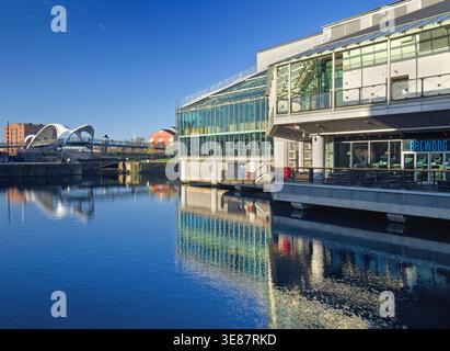 Großbritannien, East Yorkshire, Hull, Princes Dock, Princes Quay Shopping Centre mit Blick auf Hull Marina. Stockfoto