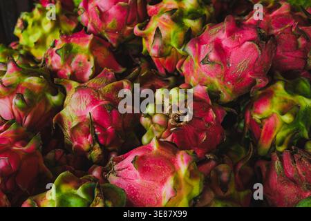 Eine Nahaufnahme von mehreren reifen Drachenfrüchten (pitaya), die zusammen gestapelt sind. Stockfoto