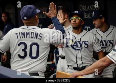 Tampa Bay Rays Assistenztrainer Ozzie Timmons (30) gibt einen High 5 to Second Baseman Richie Palacios (1) vor einem MLB-Spiel gegen die New York Yankees am 12. April 2026 im Tropicana Field. Die Rays schlugen die Yankees 5-4 und fegten die Serie. (Kim Hukari/Bild des Sports) Stockfoto