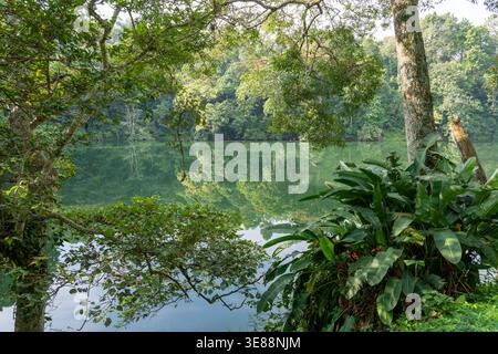 Ndali Kasenda Kratersee Wasser reflektiert einen lebhaften tropischen Wald unter klarem Himmel und zeigt eine ruhige natürliche Landschaft mit dichtem grünen Laub Stockfoto