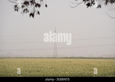 Dunst verdeckt den fernen Horizont und erzeugt eine atmosphärische Sicht auf Stromübertragungsleitungen, die sich über ein weites landwirtschaftliches Feld mit einem Vorläufer erstrecken Stockfoto