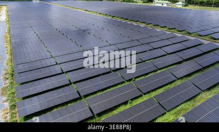 Reihen von Photovoltaik-Solarpaneelen in einem grasbewachsenen Feld, die die Infrastruktur erneuerbarer Energien und die industrielle nachhaltige Stromerzeugung zeigen Stockfoto