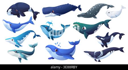 Zeichentrickwale Tierfiguren mit süßen Vektorblau-, Grau- und Flossenwalen, Sperma-, Buckelwalen und Buckelwalen, Orcas und Beluga. Riesige Meeres- und Meeressäugetiere, die mit fröhlichem Lächeln Wasser spucken Stock Vektor