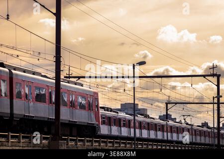 Sao Paulo, SP, Brasilien, 02. Februar 2017. Der CPTM-Pendlerzug überquert bei Sonnenuntergang eine Hochbahn in Sao Paulo und hebt die Rolle der Stadtbahn hervor Stockfoto