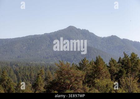Berglandschaft mit dichtem Wald im Vordergrund und klarem blauen Himmel darüber, die natürliche Schönheit und Ruhe in ländlicher Umgebung zeigt Stockfoto