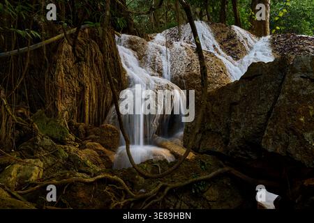 Malerischer Wasserfall, der über Felsen im üppigen tropischen Wald fließt Stockfoto