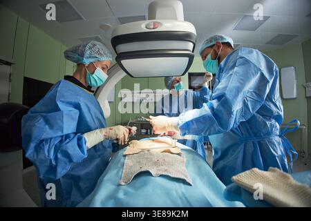 Weitwinkelansicht von Chirurgen, die Operationen im Operationssaal des Krankenhauses durchführen und Instrumente unter der Operationslampe handhaben. Ideal für Gesundheitswesen, Chirurgie, medizinisches Team, Marketing für klinische Versorgung Stockfoto