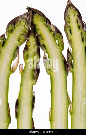 Frischer Spargel für eine detaillierte Nahaufnahme Stockfoto