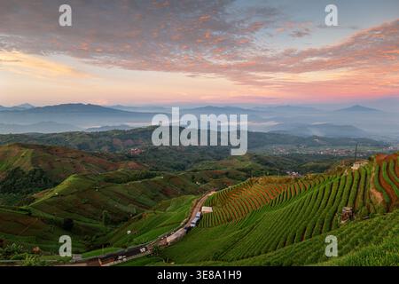 Dramatischer Sonnenaufgang über den üppig grünen Zwiebelterrassen von Panyaweuyan in Argapura, Majalengka, West-Java, Indonesien, unter einem bunten nebeligen Himmel Stockfoto