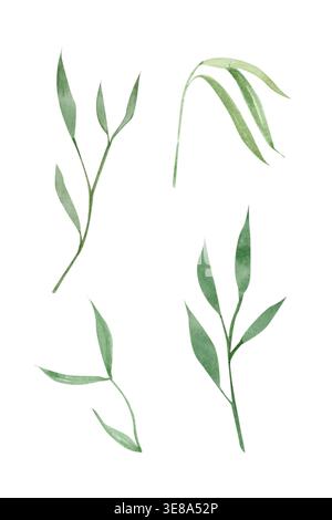 Bambusblätter, Zweige gesetzt, grüne asiatische Pflanzenelemente. Botanische Aquarellillustration isoliert auf weiß, Designelement für Zen-Themen, Spa Stockfoto