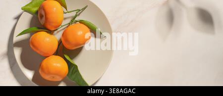 Elegantes Stillleben aus frischen Mandarinen in Orange mit grünen Blättern auf einer neutralen beigefarbenen Platte, erfasst in warmem natürlichem Licht. Weiche Schatten und geräumiger Cop Stockfoto