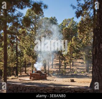 Eine Steinkohlengrillgrube gibt Rauch in einer Waldlichtung ab, während die Menschen in der Nähe die Natur genießen Stockfoto