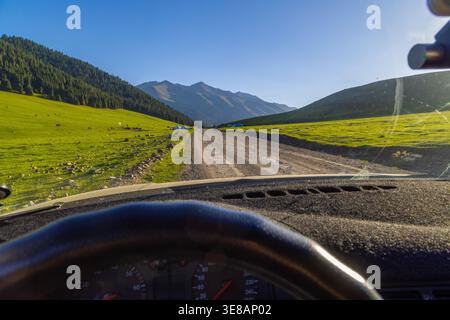 Pferde und Rinder weiden friedlich auf den üppigen grünen Hügeln in Kirgisistan. Fahrerperspektive von hinter dem Lenkrad. Malerische Berglandschaft Stockfoto
