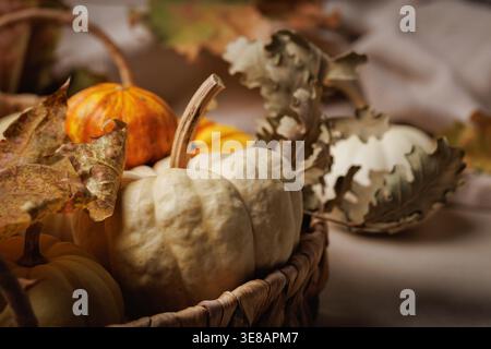 Kürbis-Arrangement mit getrockneten Blättern und Herbstfarben Stockfoto