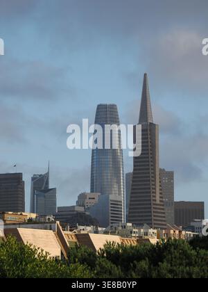 San Francisco, USA – 2. Oktober 2025 – Ein leicht vergrößertes Tagesbild der Skyline von San Francisco mit dem modernen Salesforce Tower Stockfoto