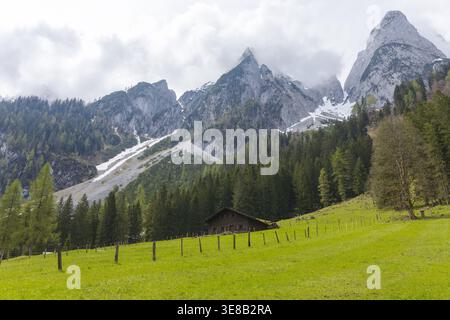 Almhütte umgeben von Bergen und grüner Wiese bei Gosausee in Österreich. Stockfoto