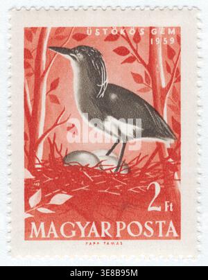 UNGARN - 14. Juni 1959: 2 dunkelorange und graue Briefmarke, die den Squakreiher (Ardeola Ralloides), auf Ungarisch als „üstökös gém“ bekannt, über seinen Eiern in einem Nest darstellt. Die Szene spielt in einem bewaldeten oder buschigen Feuchtgebiet, das durch die umliegenden Äste und Blätter gekennzeichnet ist. Diese Abbildung zeigt die Nistgewohnheiten der unterschiedlichen Vogelpopulation Ungarns. Der Squakreiher ist eine kleine, wandernde Art, die dicht bewachsene Gewässer bevorzugt und den biologischen Reichtum der geschützten Auen und Sumpfgebiete des Landes symbolisiert Stockfoto