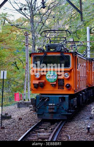 Orange Electric Lokomotive Front auf Waldbahngleisen in landschaftlich reizvoller Herbstlandschaft Stockfoto