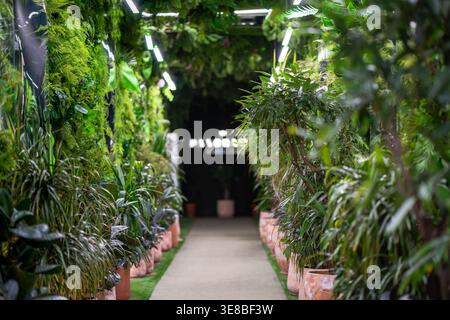 Tropischer Pflanzenkorridor biophile Innenausstattung mit Wohnwand, Dschungel-Design, urbaner Oase-Gang, nachhaltiger Einrichtung, botanischer Wellness-Atmosphäre. Stockfoto