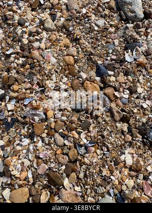 Eine Makroaufnahme von oben nach unten von einer Küste bedeckt mit verschiedenen Meereskieseln, gebrochenen Muscheln und bunten Steinen. Stockfoto