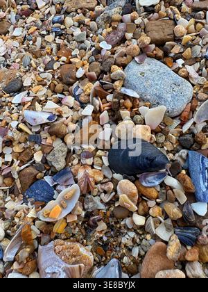 Ein detaillierter Blick von oben auf eine Meeresküste, die mit bunten Kieselsteinen, zerquetschten Muscheln und nassem Sand bedeckt ist. Stockfoto