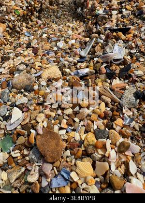Ein detaillierter Blick von oben auf eine Meeresküste, die mit bunten Kieselsteinen, zerquetschten Muscheln und nassem Sand bedeckt ist. Stockfoto