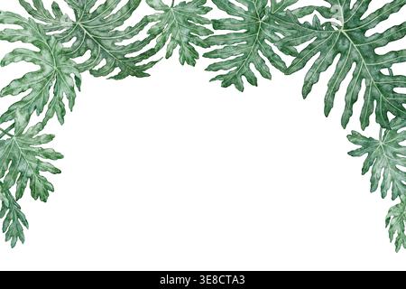 Tropische Blätter rechteckiger Rahmen Philodendron Selloum Aquarell botanische Illustration. Handgezeichnete grüne Laubtextur mit Kopierraum. Blumendesign in Naturform für Gartenkarten-Dekorationsschablone. Stockfoto