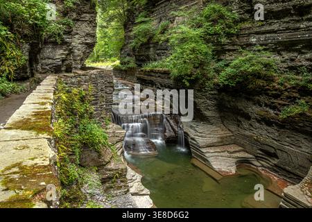 Steinpfad und kaskadierender Bach durch eine enge Schlucht im Watkins Glen State Park in New York mit geschichteten Felsformationen und üppigem Grün Stockfoto