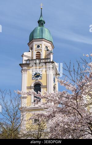 Die Kirschblüte blüht im Frühjahr vor der römisch-katholischen Kirche St. Joseph in Maxvorstadt, München, Bayern. Stockfoto