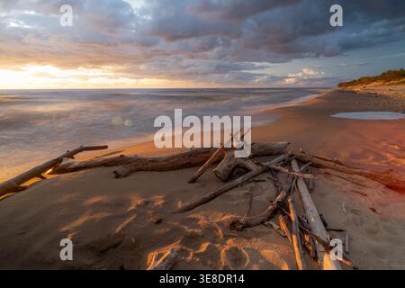 Treibholz am Sandstrand bei Sonnenuntergang Stockfoto