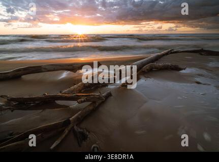 Treibholz am Ostseestrand bei Sonnenuntergang Stockfoto