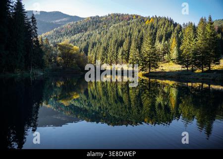 Waldbedeckte Hügel, die sich in ruhigem Seewasser mit herbstlichen Bäumen und klarem Himmel in bergiger Natur spiegeln Stockfoto
