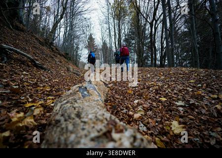 Wanderer, die im Herbst mit Rucksäcken auf blattbedeckten Waldwegen in bewaldeter Hügellandschaft spazieren Stockfoto