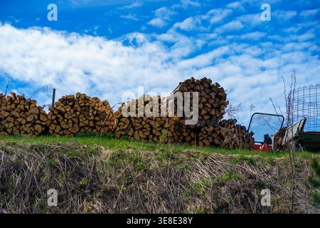 Feuerholz stapelt sich auf einem grasbewachsenen Hügel auf dem Land, Holzlagerung, erneuerbare Energiequellen, ländliche Landschaft unter Himmel mit Wolken, natürliche Umwelt Stockfoto
