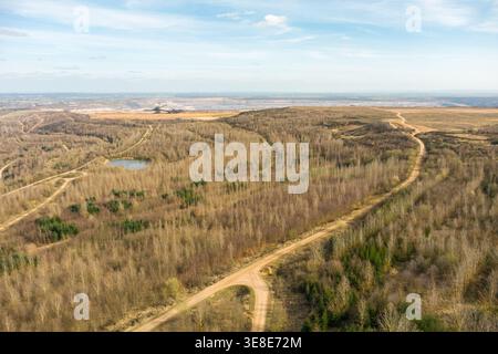 Blick auf die Sophienhöhe mit Tagebau Hambach, Blattloser Wald an einem sonnigen Wintertag. Stockfoto