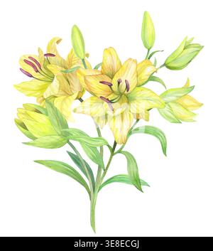 Strauß gelber Lilien. Handgemachte Aquarellillustration. Für Verpackungsdesign, Karten, Cover, Ausdrucke, Produktetiketten und Stoff. Stockfoto