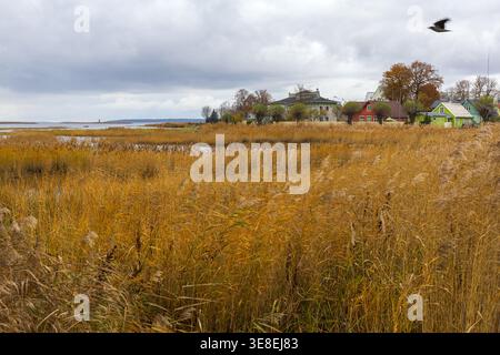 Küstenlandschaft mit Schilf und bunten Häusern unter bewölktem Himmel in Haapsalu, Estland Stockfoto