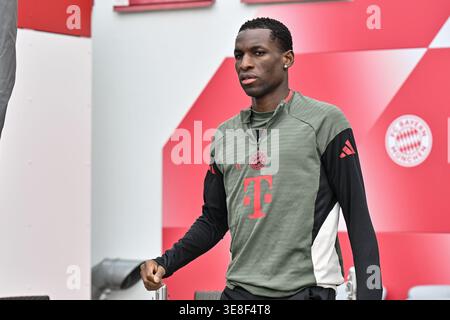 MÜNCHEN, DEUTSCHLAND - 14. APRIL: Nicolas JACKSON (FC Bayern München 11) auf dem Weg zum Spielfeld während des Finaltrainings vor dem Viertelfinale der UEFA Champions League zwischen FC Bayern München und Real Madrid CF im FC Bayern Trainings Ground Saebener Straße München Credit: BEAUTIFUL SPORTS Pressphoto Agency/Alamy Live News Stockfoto