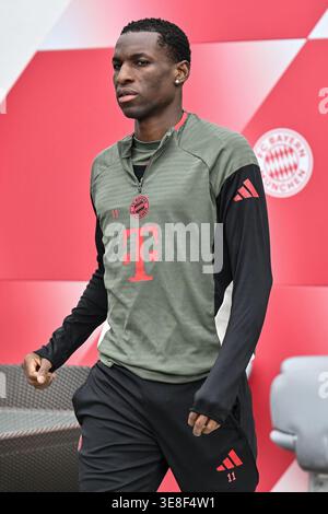 MÜNCHEN, DEUTSCHLAND - 14. APRIL: Nicolas JACKSON (FC Bayern München 11) auf dem Weg zum Spielfeld während des Finaltrainings vor dem Viertelfinale der UEFA Champions League zwischen FC Bayern München und Real Madrid CF im FC Bayern Trainings Ground Saebener Straße München Credit: BEAUTIFUL SPORTS Pressphoto Agency/Alamy Live News Stockfoto