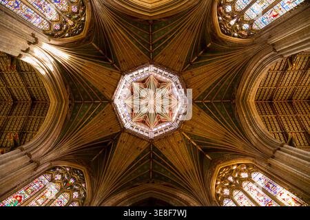 Der achteckige Turm und die Laterne mit Buntglas der Ely Cathedral, vom Schiff aus gesehen, Richtung Dach/Decke. Cambridgeshire. UK. (140) Stockfoto