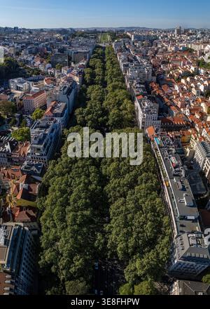 Blick aus der Vogelperspektive auf die üppig von Bäumen gesäumte Avenida da Liberdade, flankiert von historischen Gebäuden und städtischer Architektur unter einem klaren blauen Himmel in Lissabon, Lissabon, Stockfoto