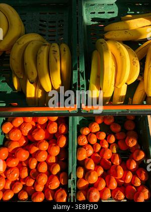Bananen und Mandarinen in grünen Kisten mit dramatischem Sonnenlicht und Schatten. Konzept von Lebensmitteleinkauf, gesunder Ernährung und Einzelhandelsanzeige Stockfoto